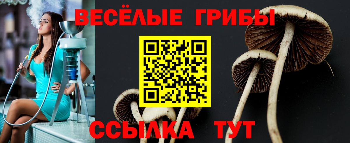 Галлюциногенные грибы GOLDEN TEACHER Лобня